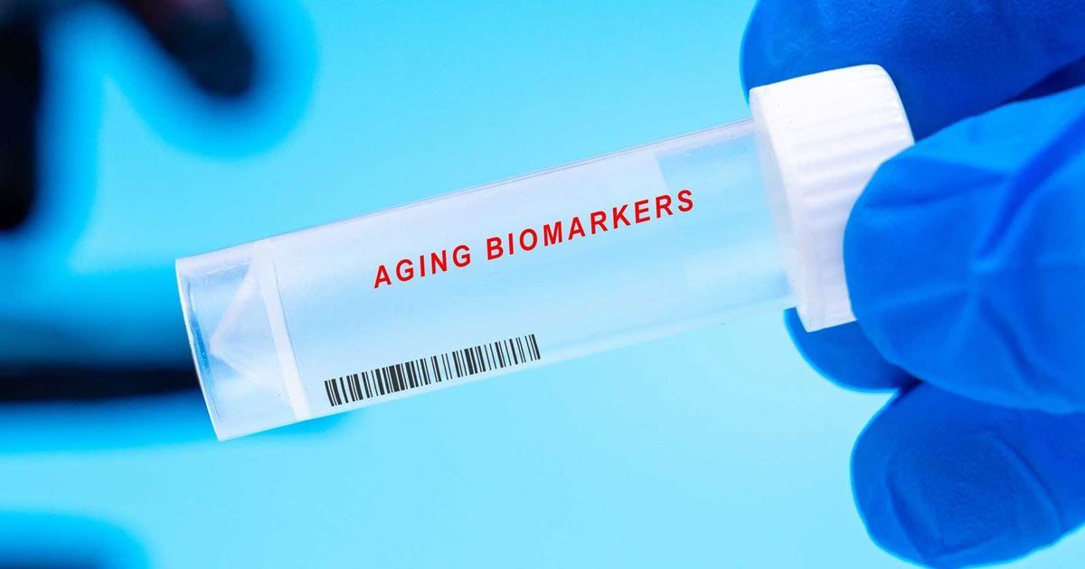 Gloved hand holding a test tube labeled “AGING BIOMARKERS” against a blue background