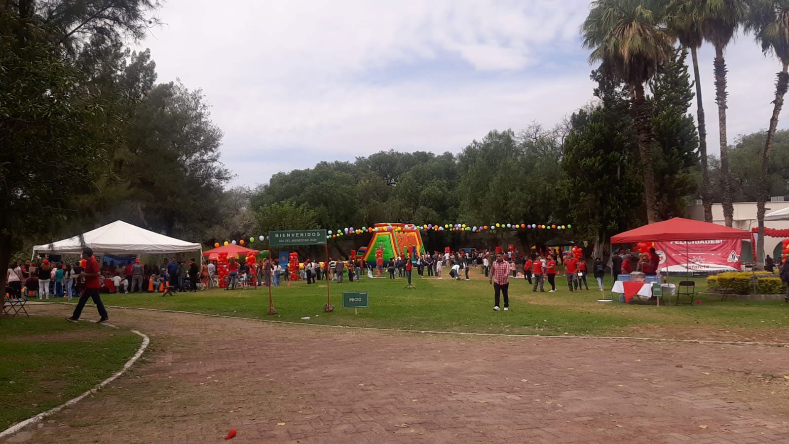 MEGA FIESTA