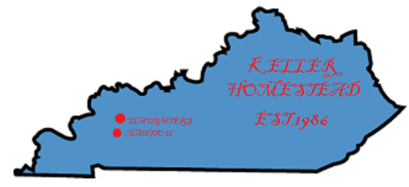 Farm in Manitou, KY | Keller Homestead Farm in Manitou, KY | Keller Homestead