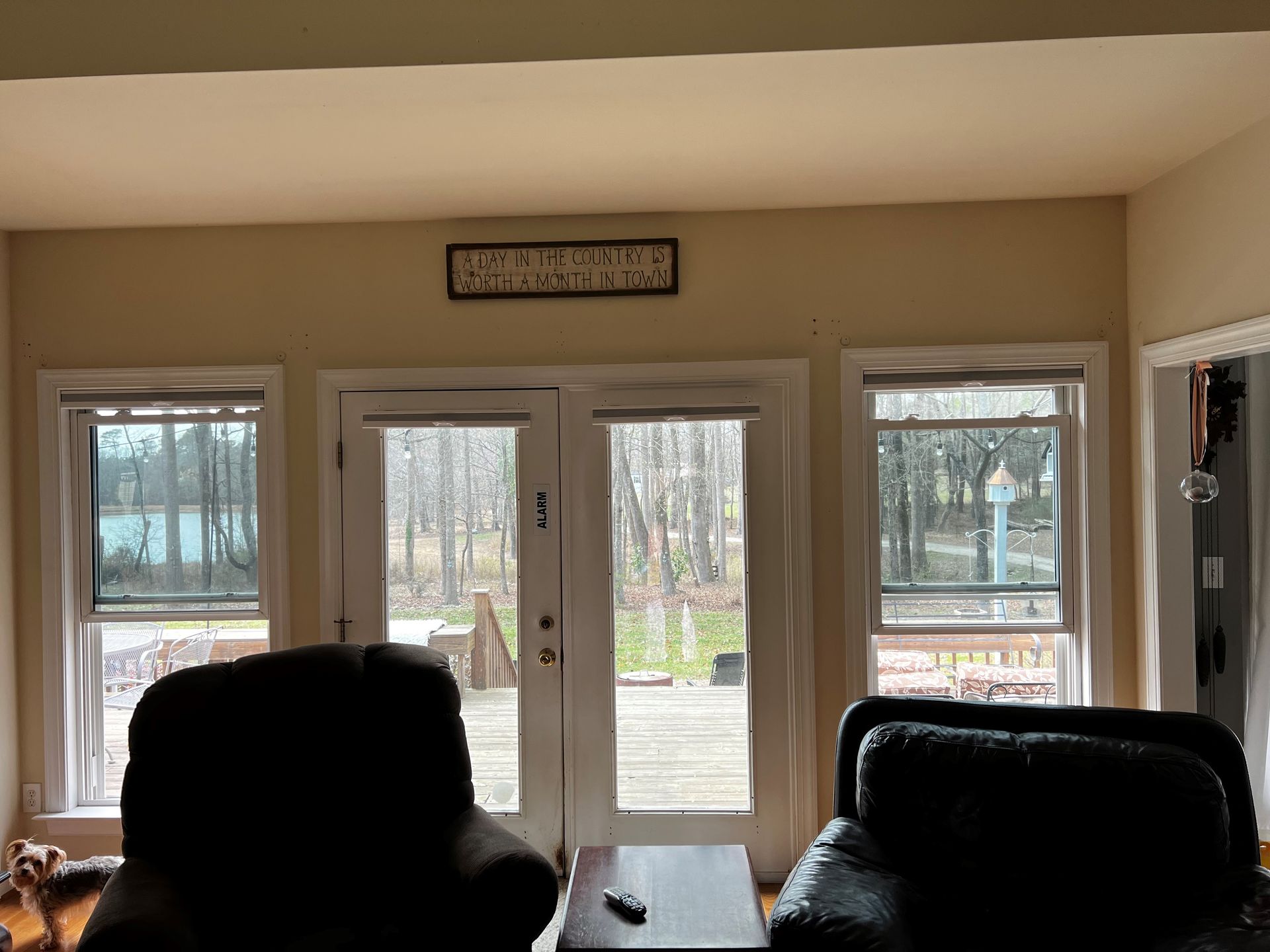 Cellular Shades 2