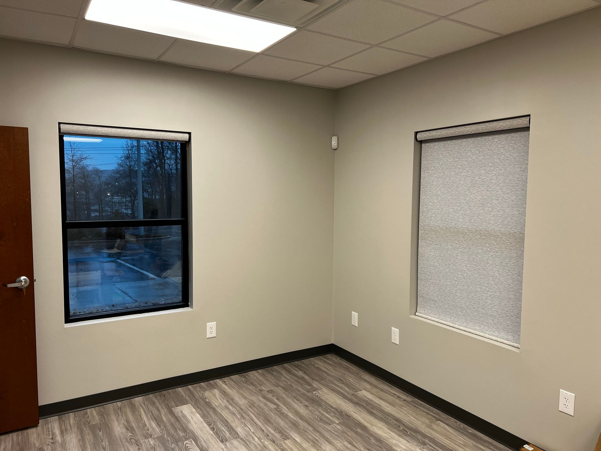 Roller Shades 30