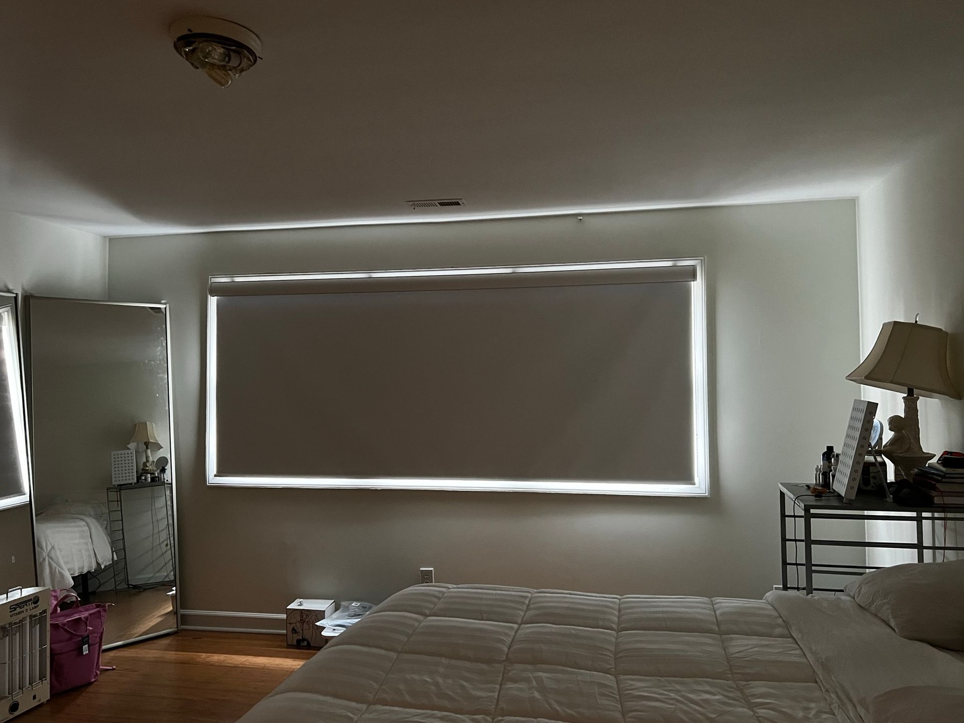 Roller Shades 29