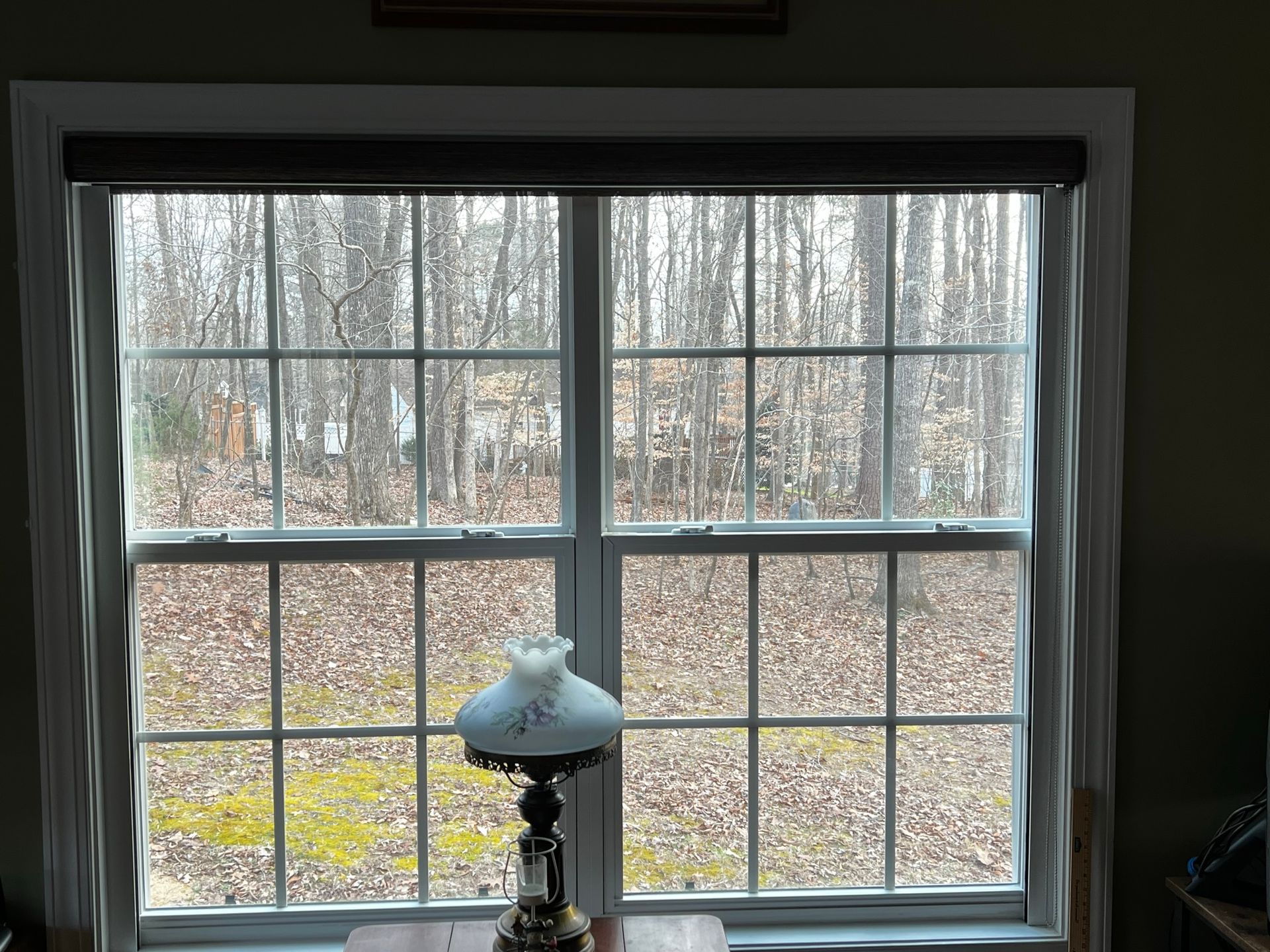 Roller Shades 25