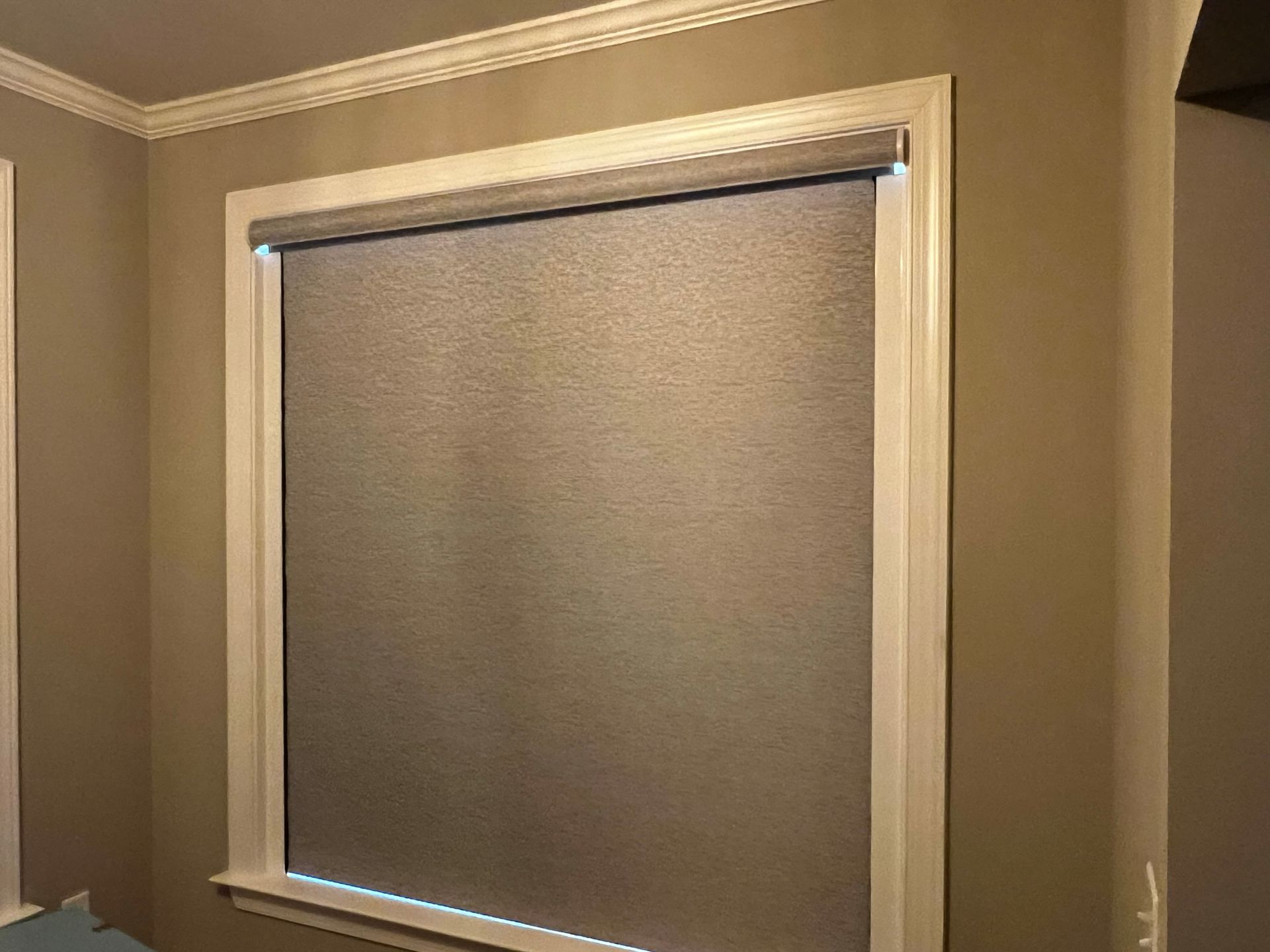Roller Shades 11