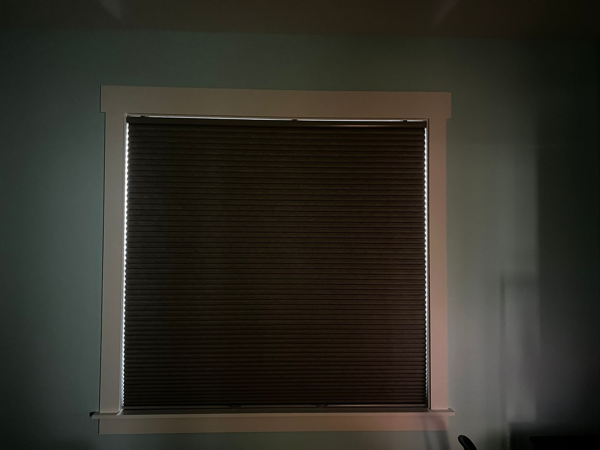 Roller Shades 5
