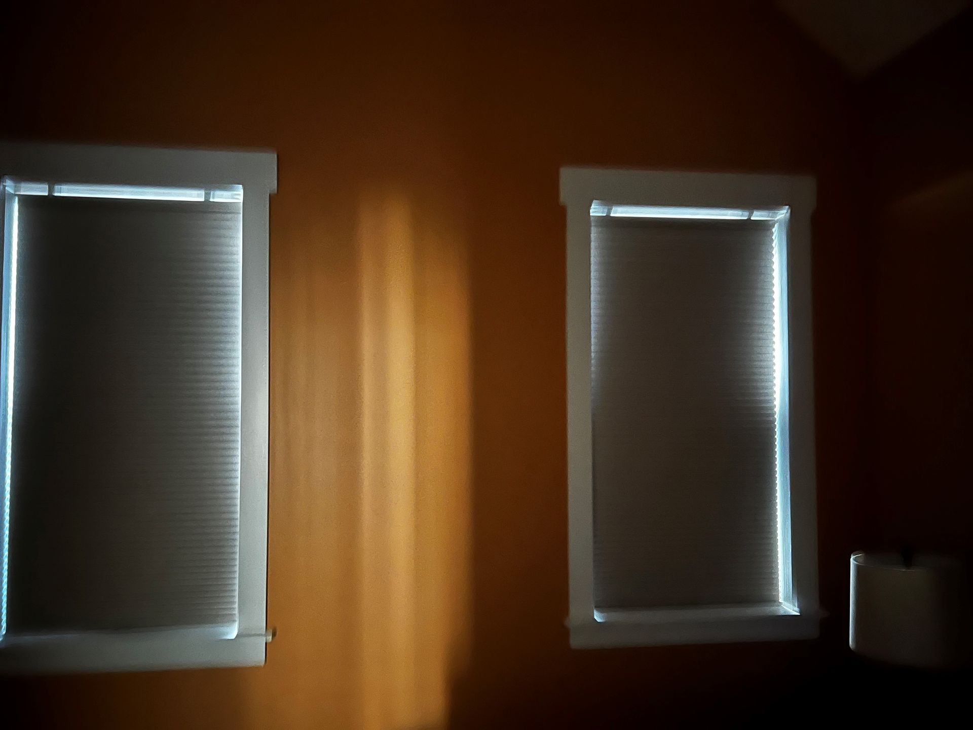 Cellular Shades 7