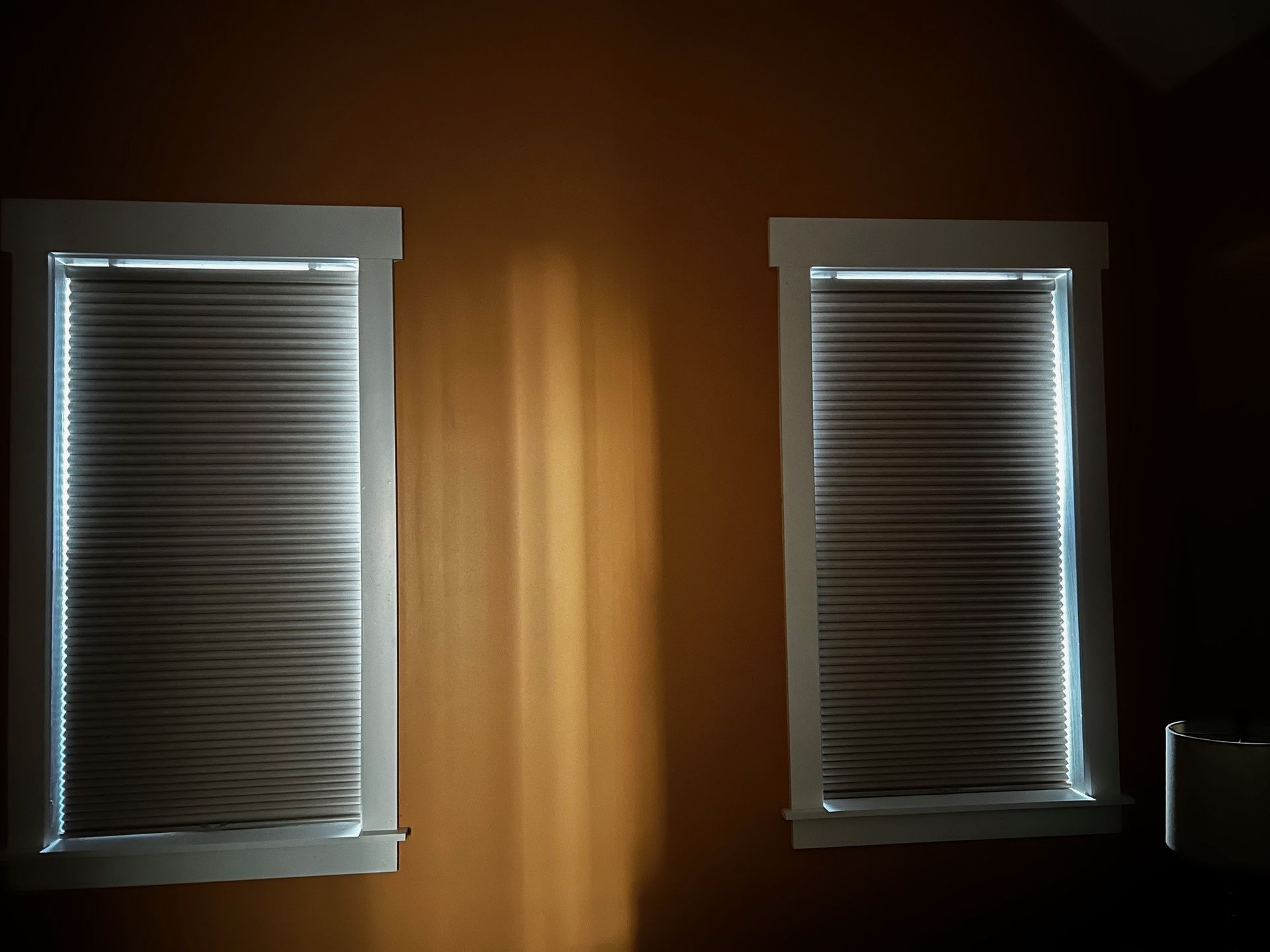 Cellular Shades 6