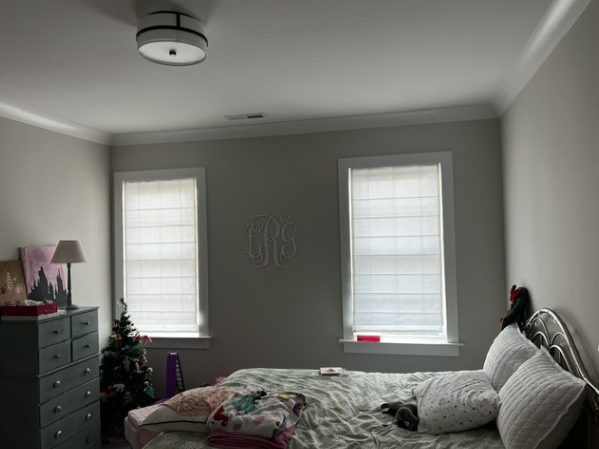 Roman Shades 11