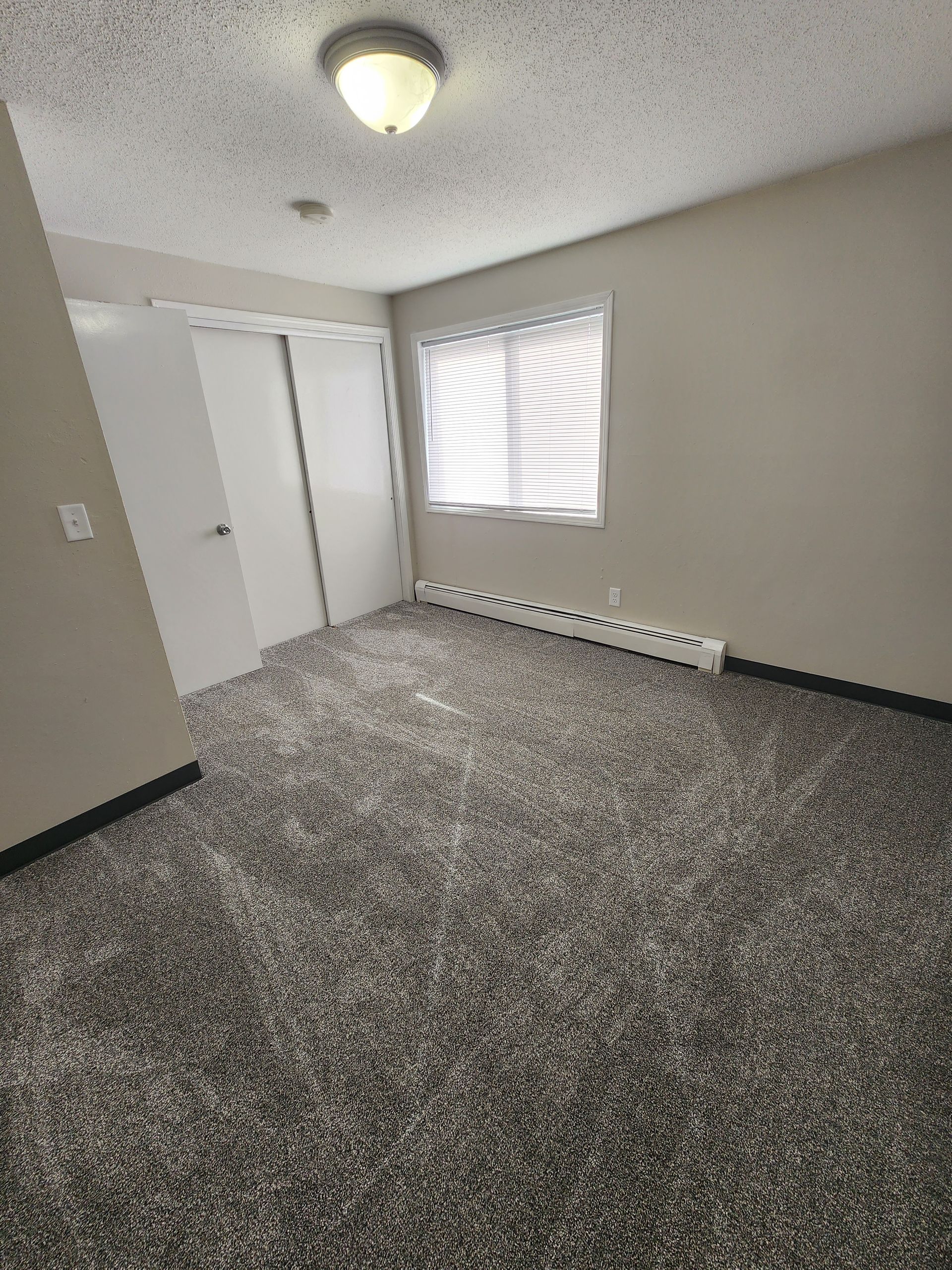 project- carpet