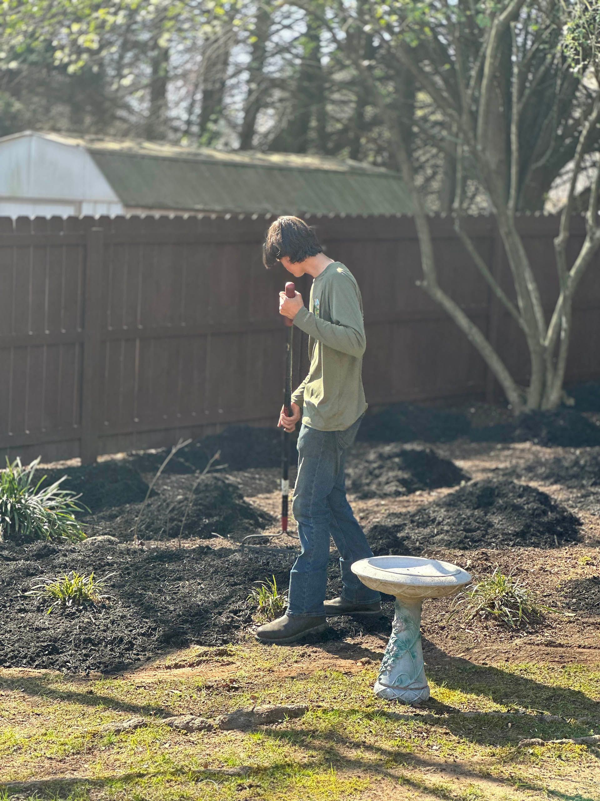Person standing in a garden bed near a birdbath, pruning plants by a wooden fence.