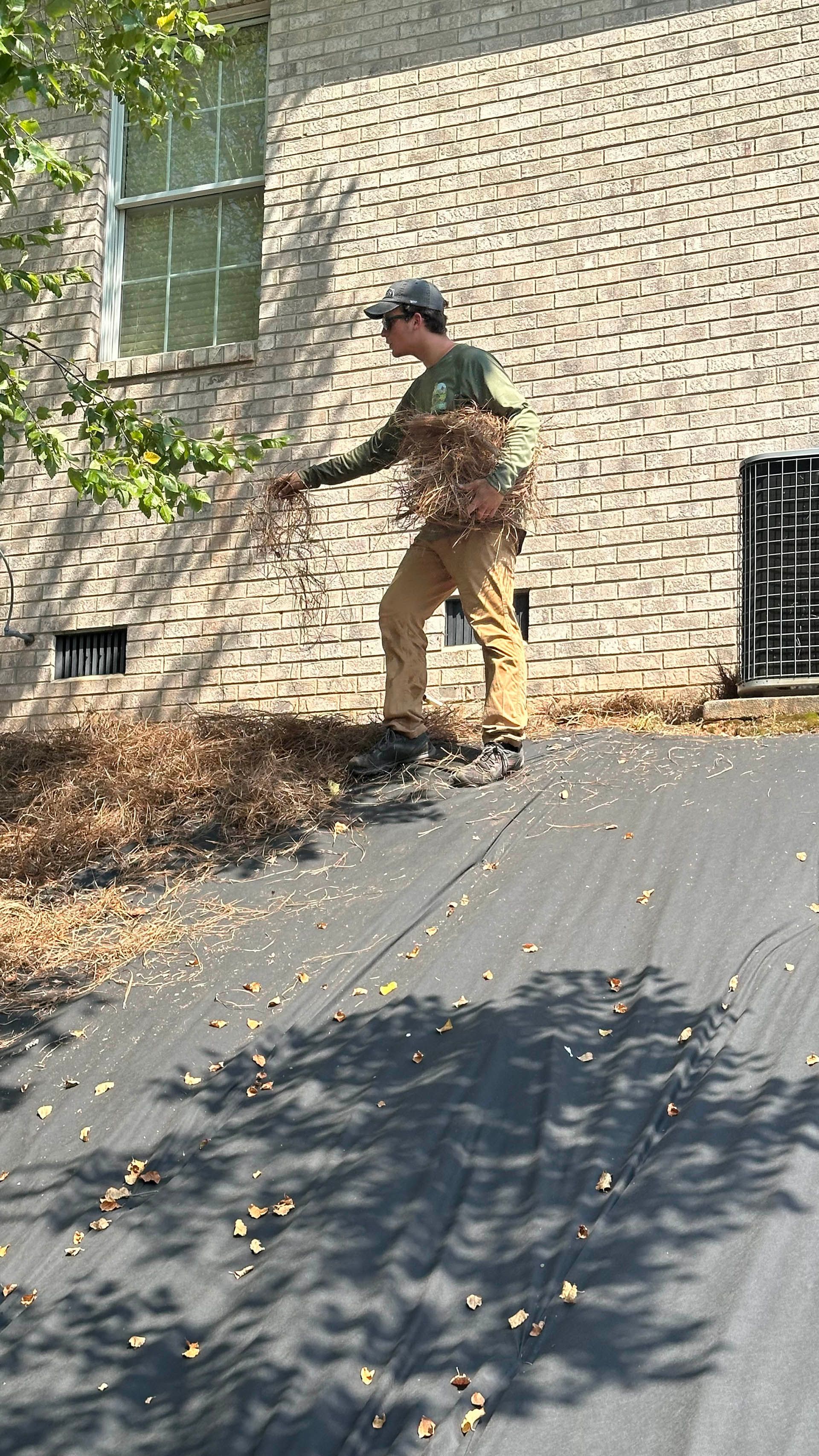 Worker clearing leaves from a sloped roof beside a brick building with a window and vines