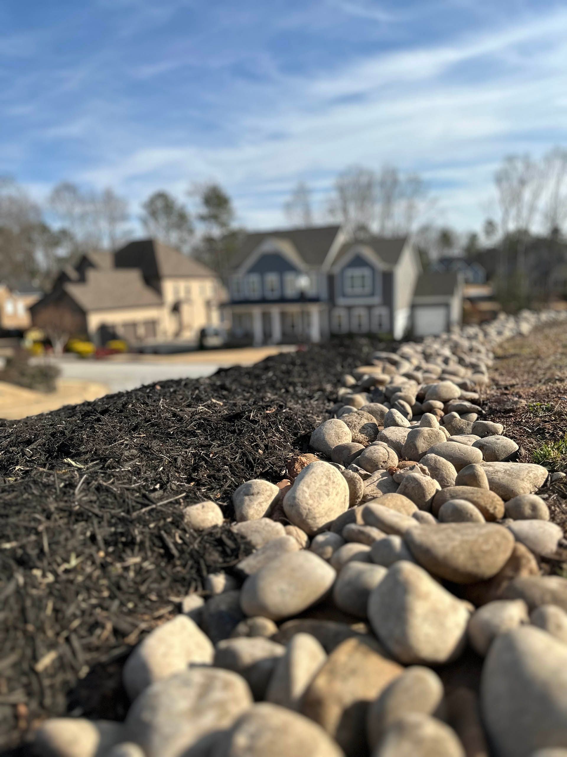 Rock border and mulch in a landscaped yard, with houses blurred in the background.