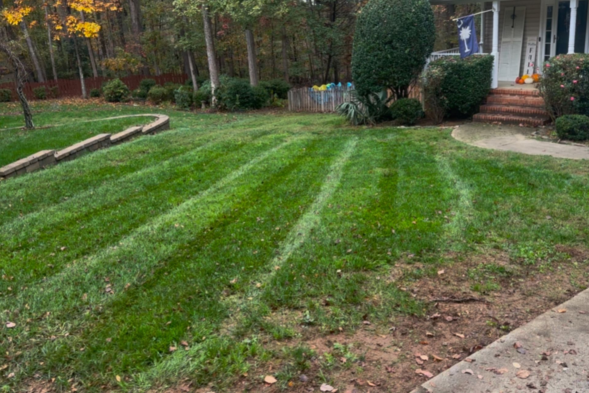 Backyard lawn with fresh green stripes, bordered by shrubs, trees, and a brick walkway.