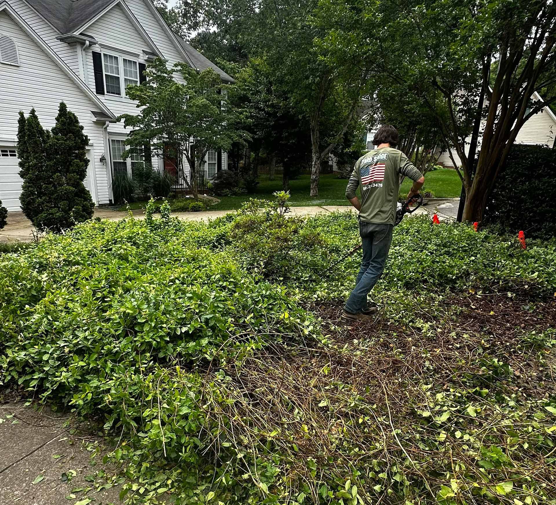 Worker trimming overgrown shrubs in a suburban front yard beside a white house
