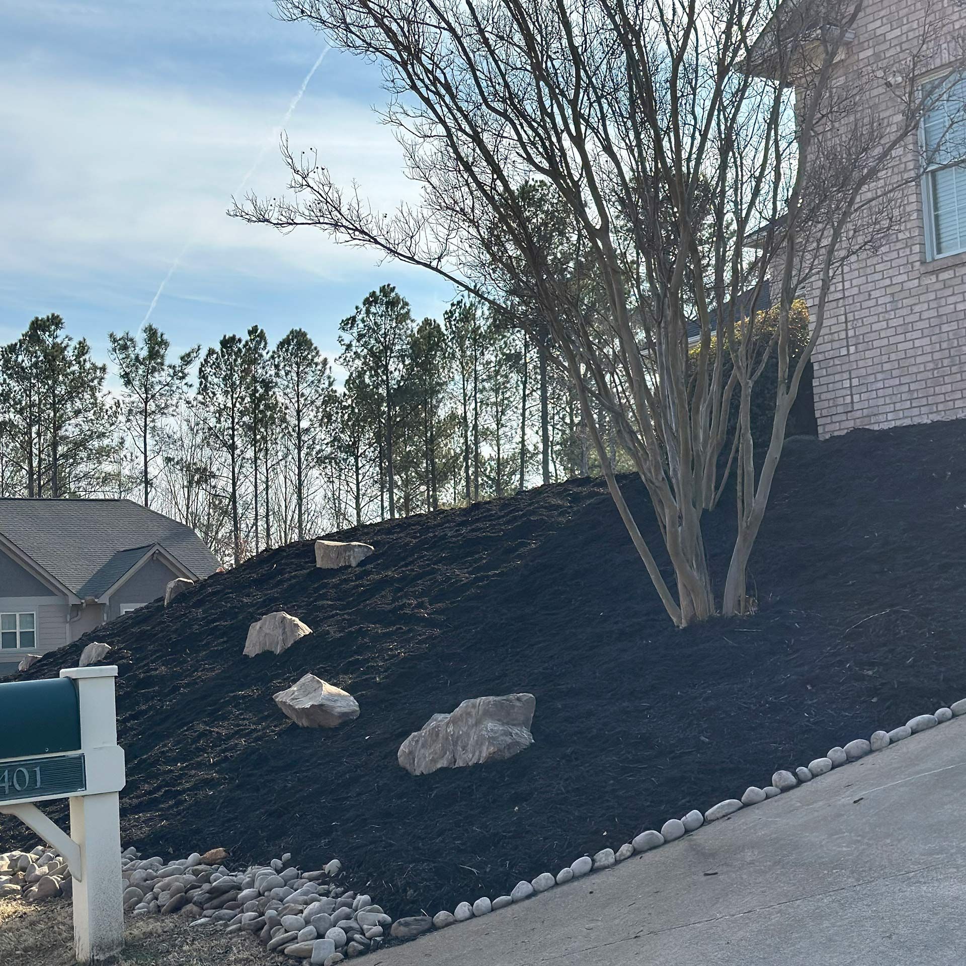 Front yard with black mulch slope, leafless tree, stone border, and house wall under a blue sky.
