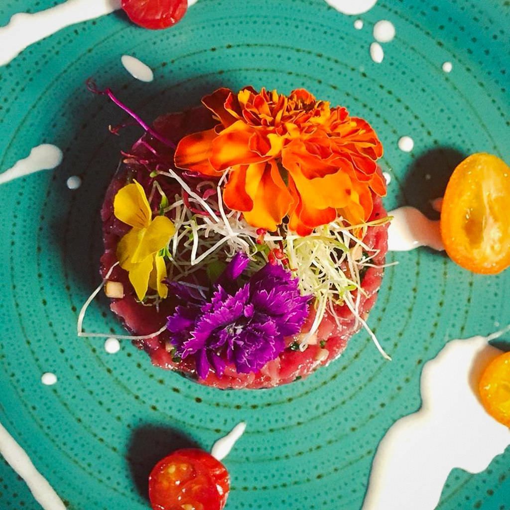 Beautifully dressed tartar