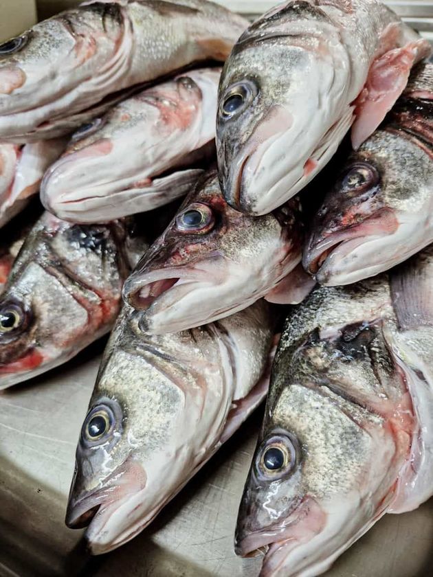 Fresh whole fish