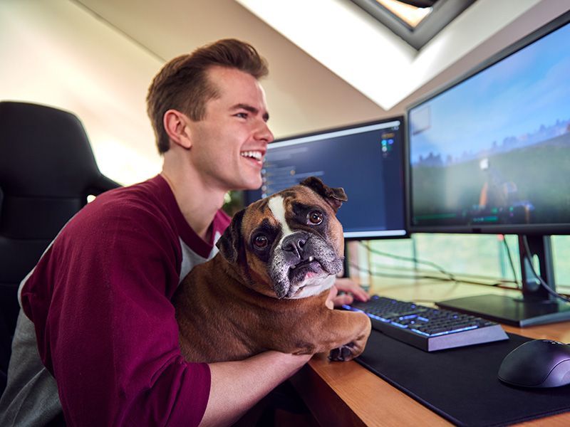 A man is sitting at a desk with a bulldog on his lap.
