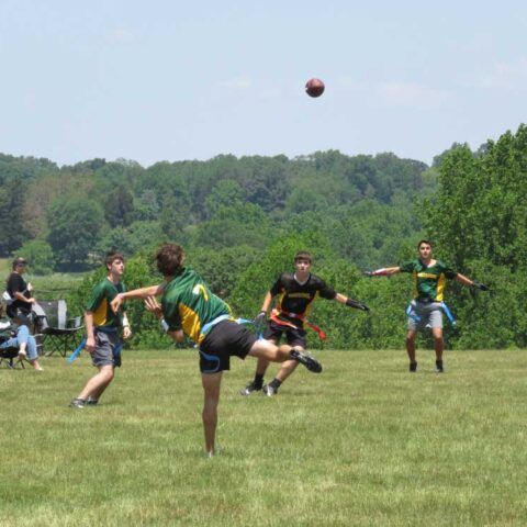 People playing a football game on a grassy field with a ball in midair and trees in the background