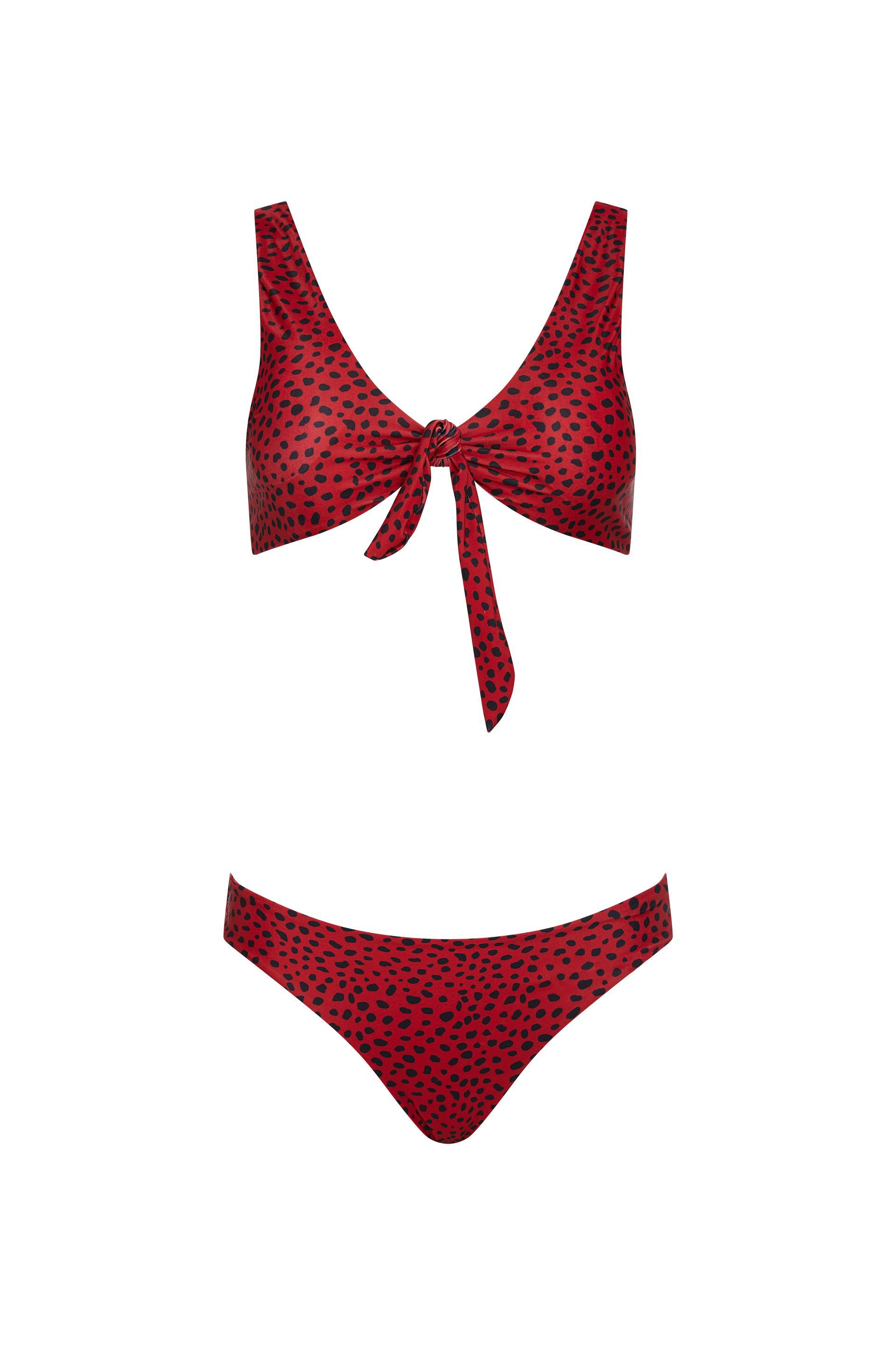 A red leopard print bikini top and bottom on a white background.
