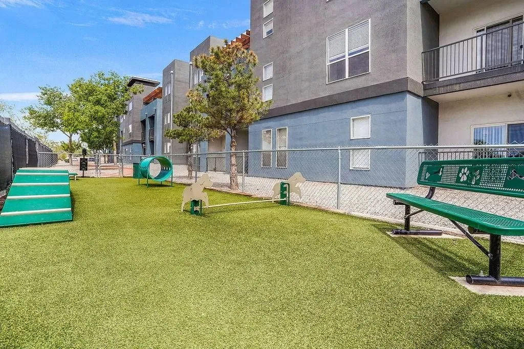 Dog park with agility equipment and a bench.