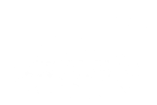 Mostly blank white image with a thin black line along the bottom edge.