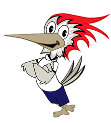 Woody Woodpecker with crossed arms, wearing a white shirt and blue shorts.