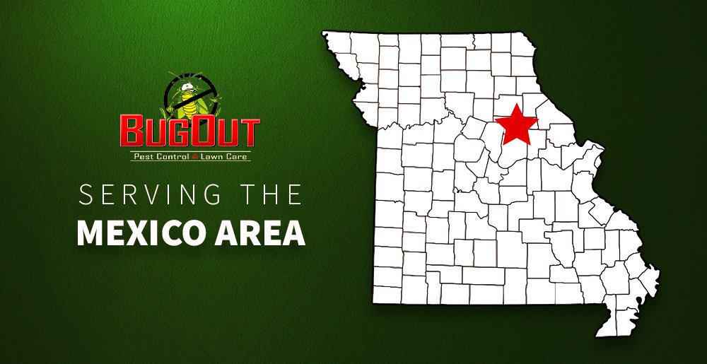 Pest Control in Mexico, MO BugOut Pest Control