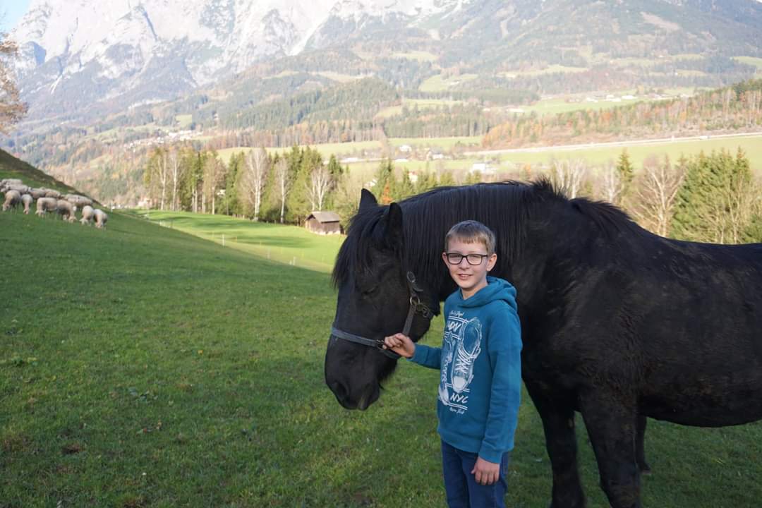 Pferd halten
