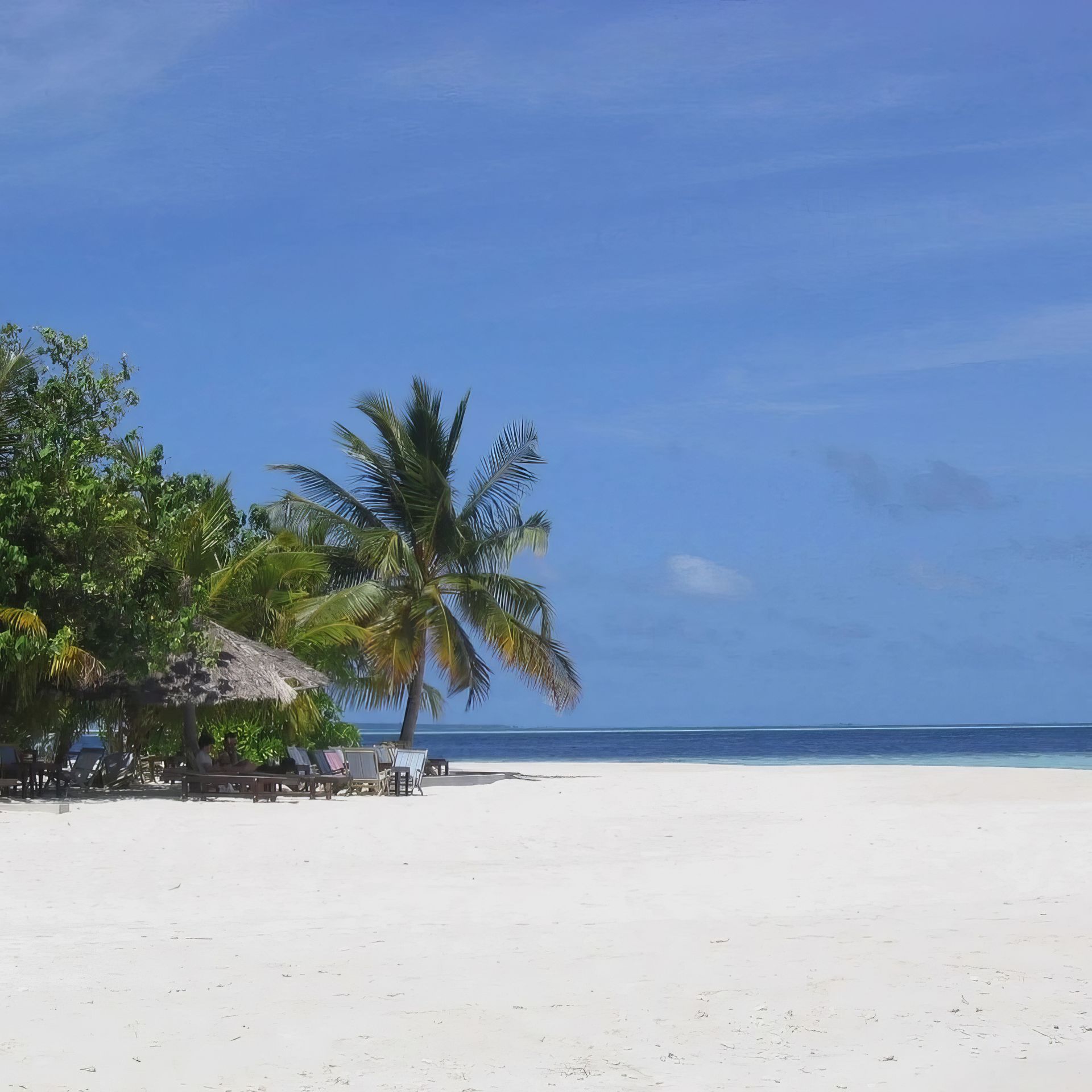 Sunny tropical beach with white sand, palm trees, thatched huts, and calm blue ocean under a clear sky