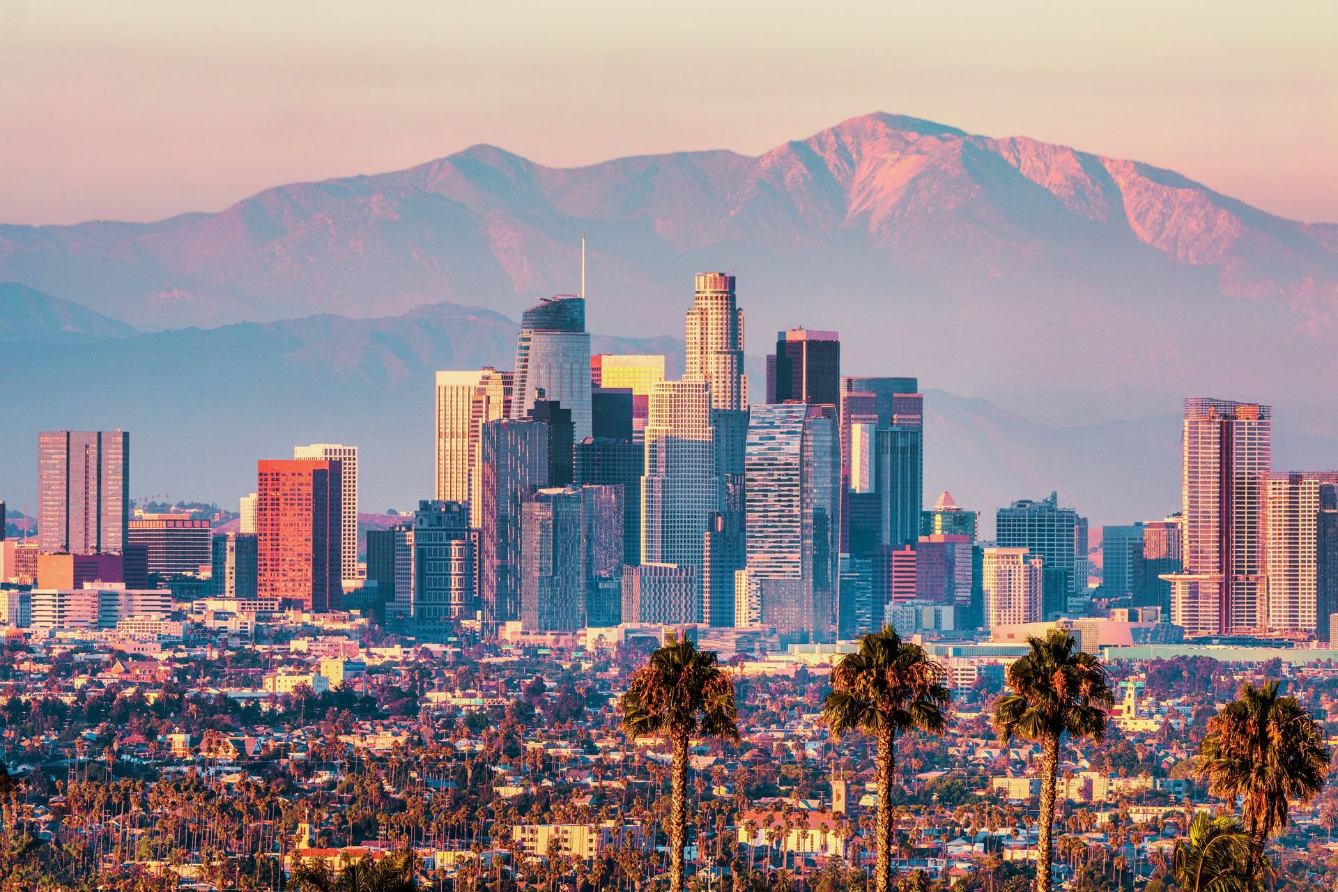 Downtown skyline with palm trees in front of a snow-capped mountain at sunset