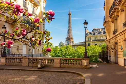 Eiffel Tower framed by Paris street with flowers, blue sky, and classic buildings