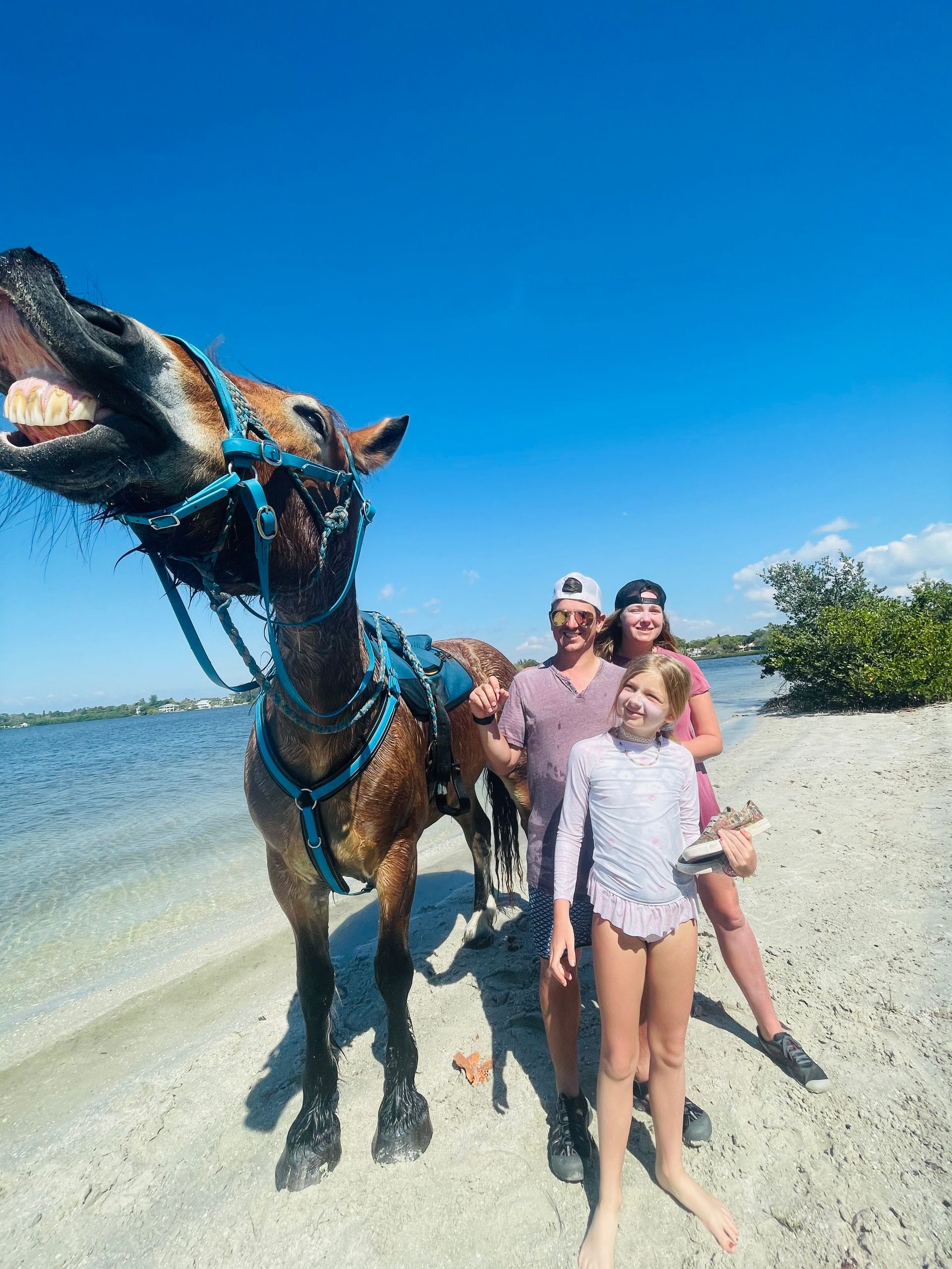 family horseback riding