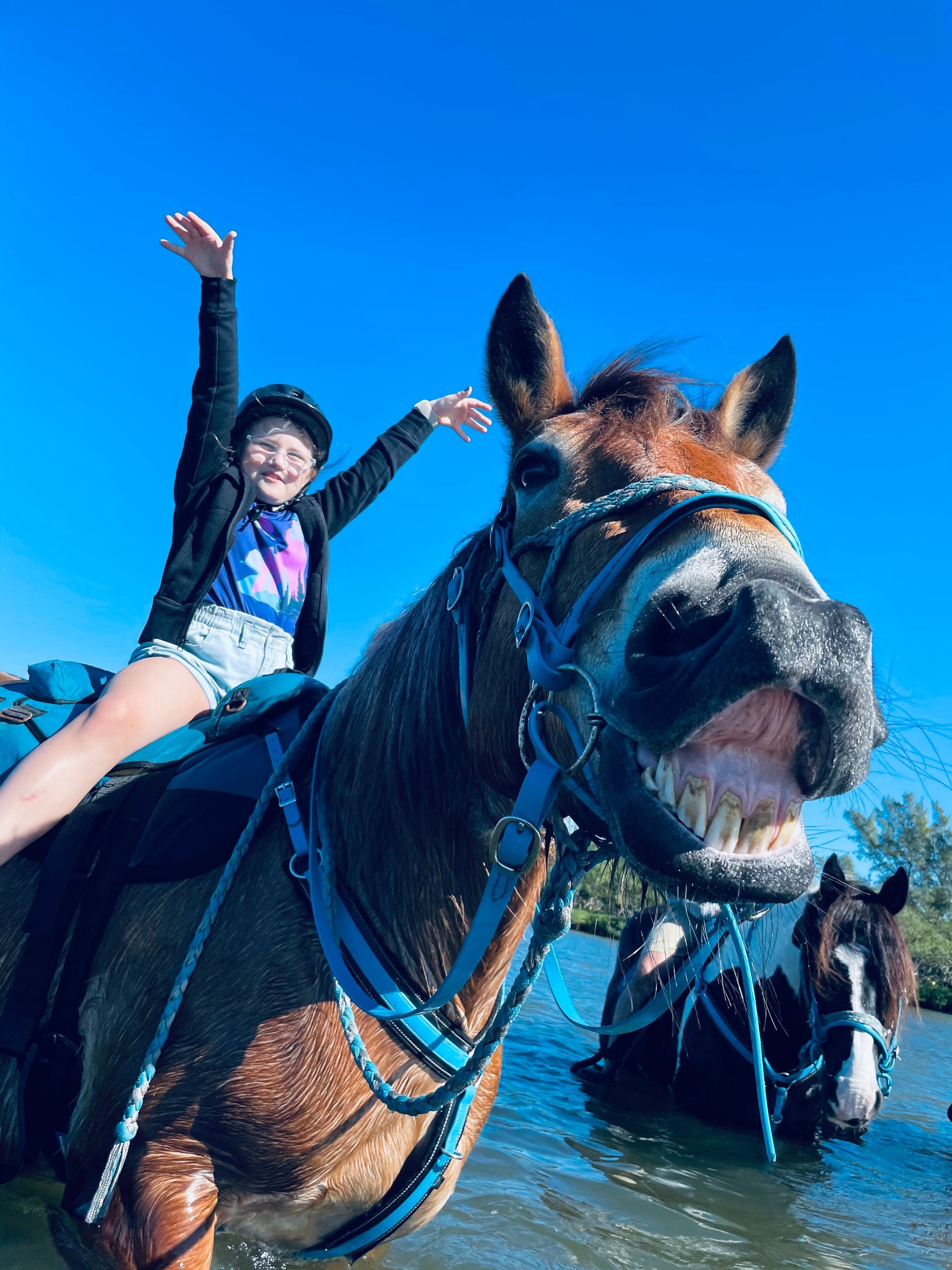 Happy young girl horse ride