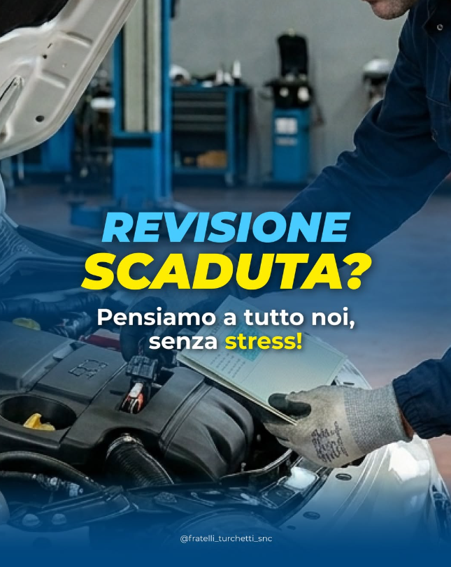F.LLI TURCHETTI Revisioni 