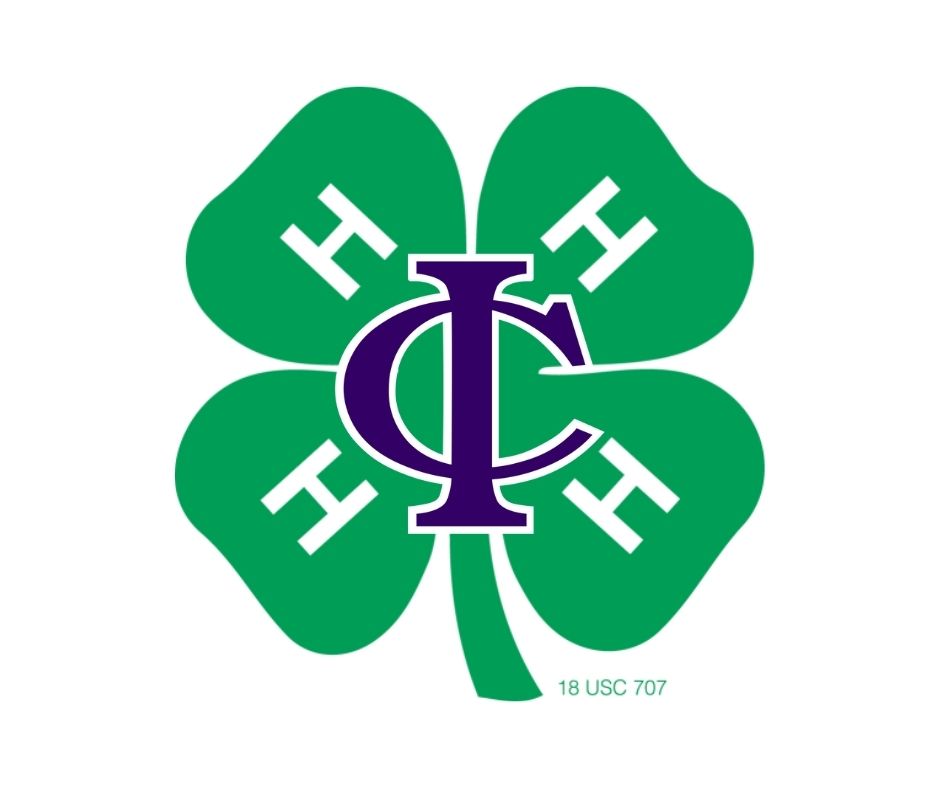 Green four-leaf clover with a purple and white intertwined Greek letters emblem in the center