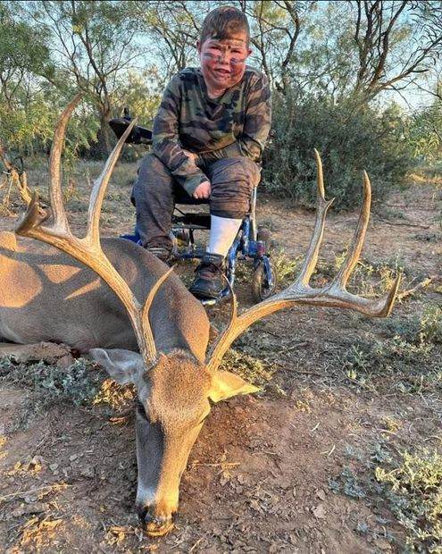 Hunter kneeling over a large elk with antlers in a dry wooded area at sunset