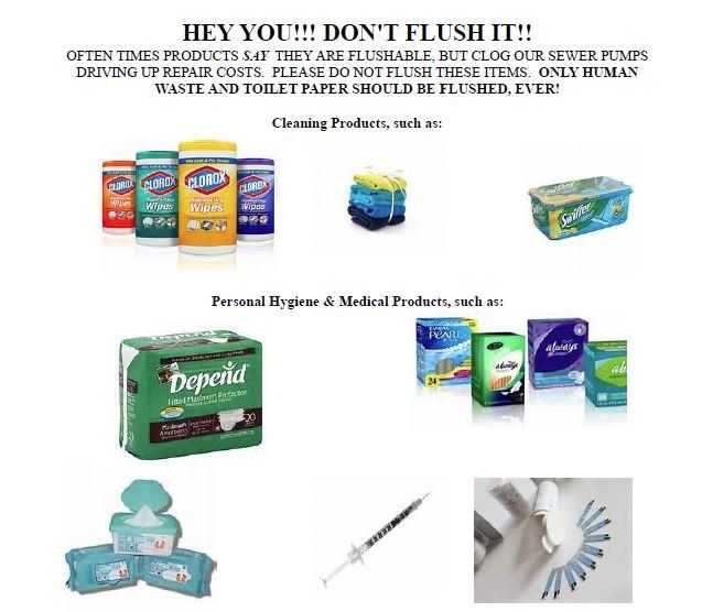Whats Flushable Brochure from NH DES