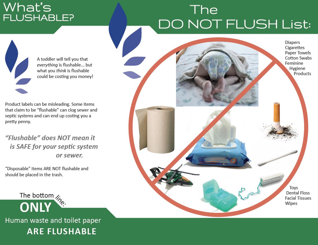 Whats Flushable Brochure from NH DES