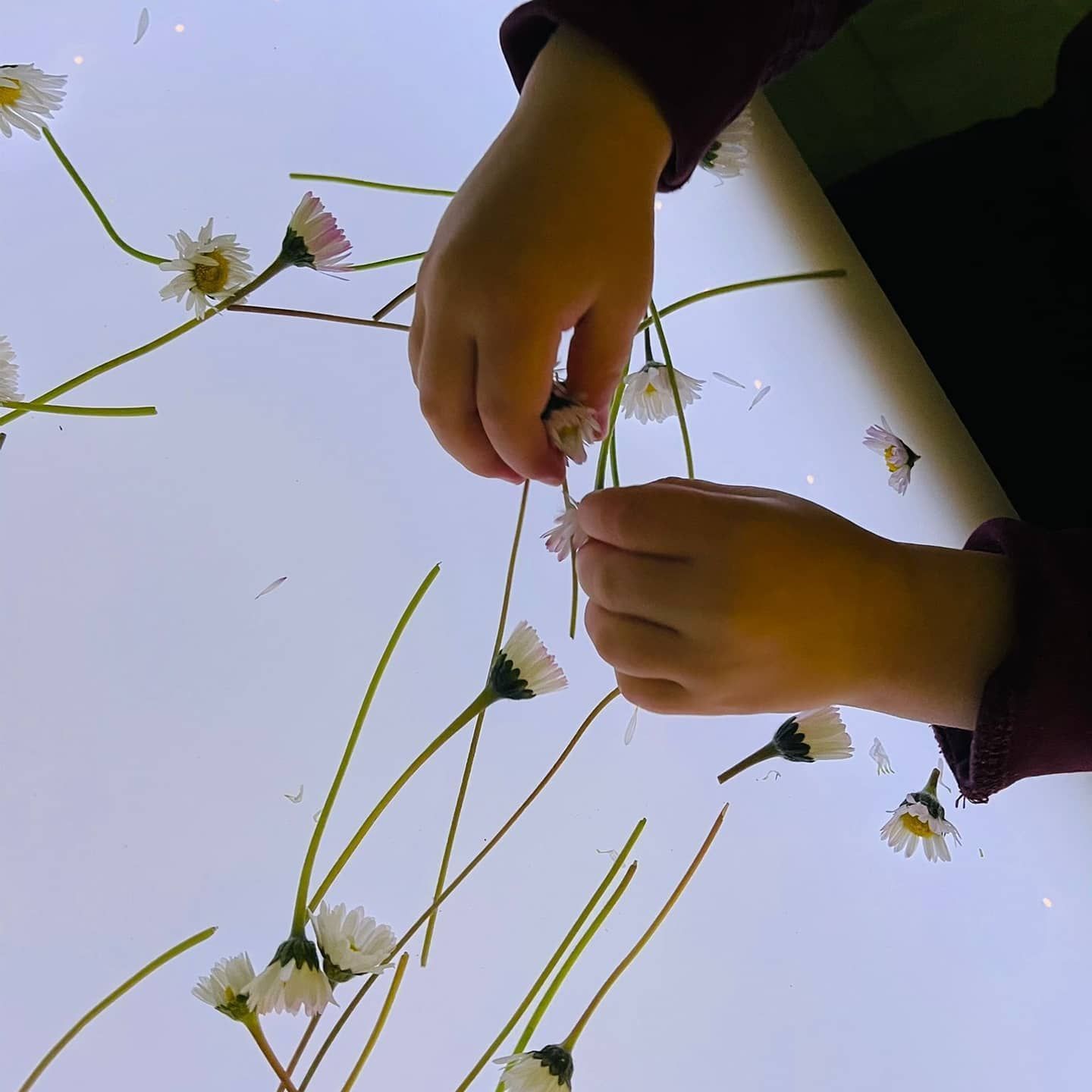 Attività educative