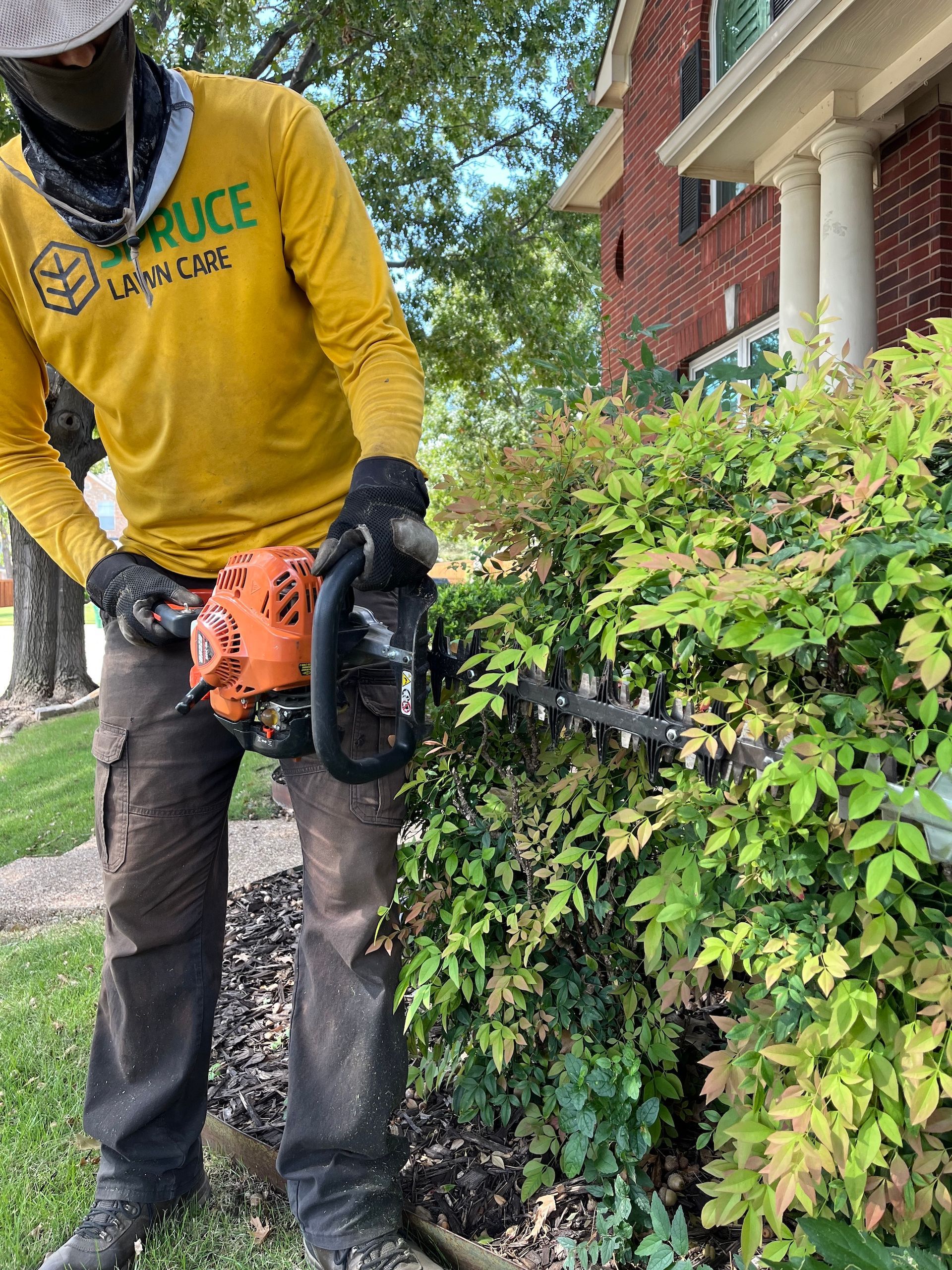 Shrub Trimming