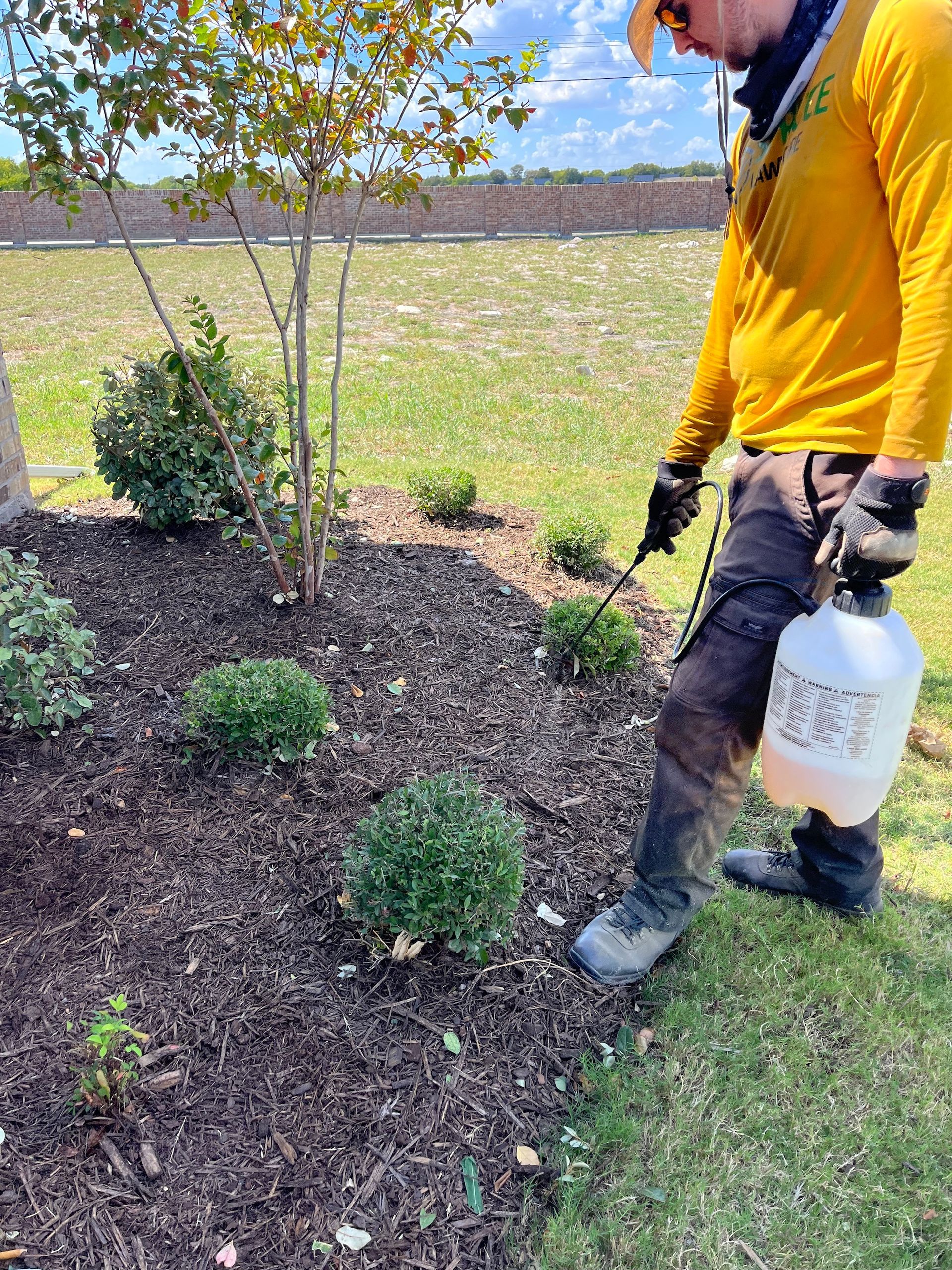 Landscape Maintenance