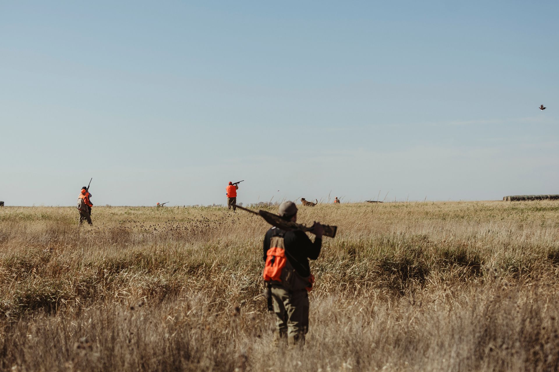 SD hunting habitat