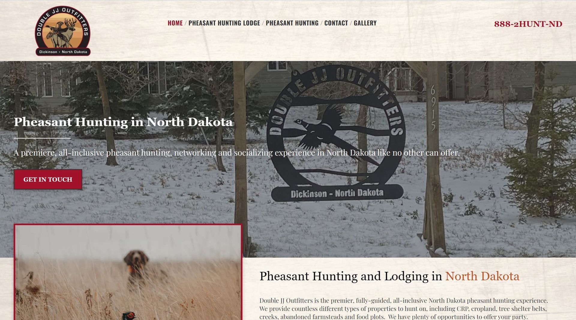 custom website design