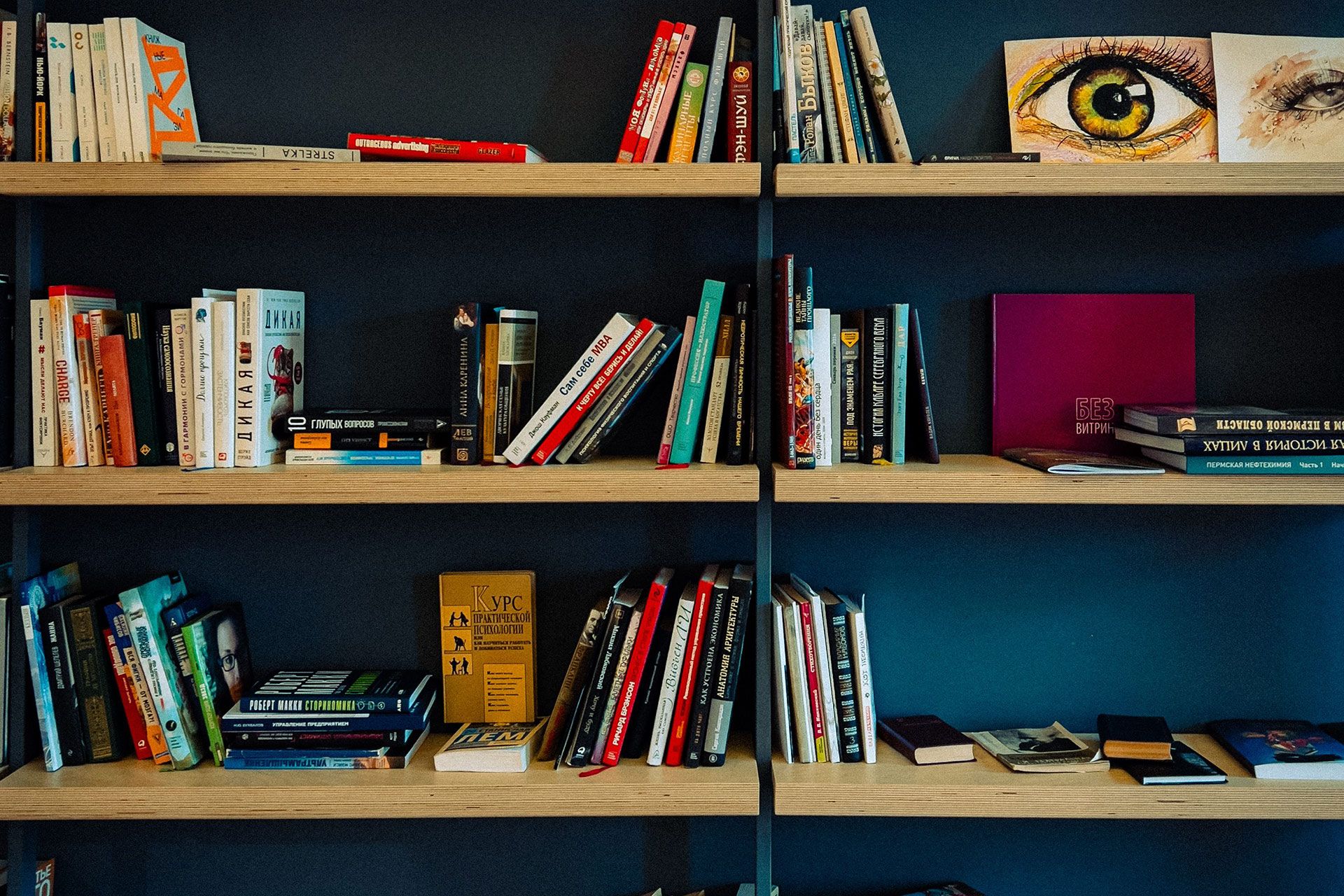Books arranged on dark wooden shelves against a dark wall, with a framed eye illustration on the top right.
