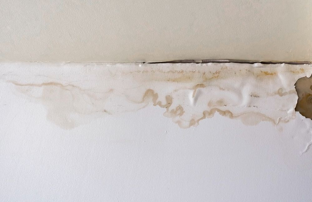 Water stain and peeling paint along the top edge of a white wall.
