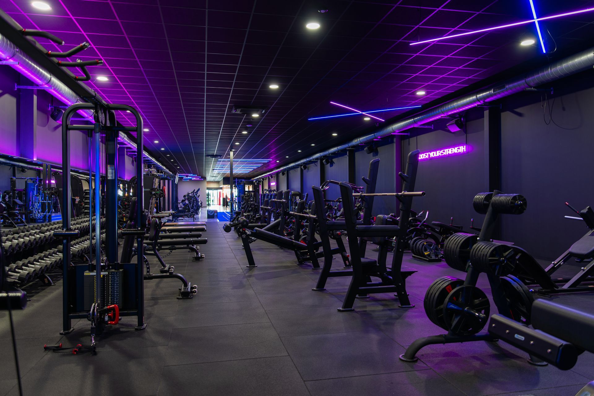 Een sportschool vol met fitnessapparatuur en paarse lichten.