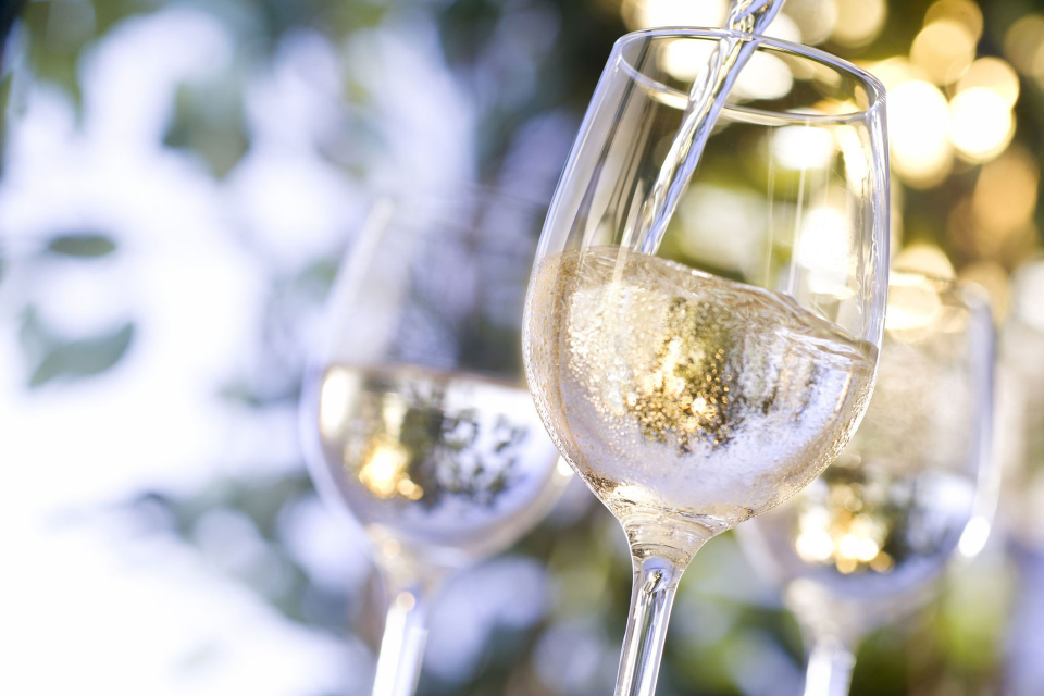 vino bianco