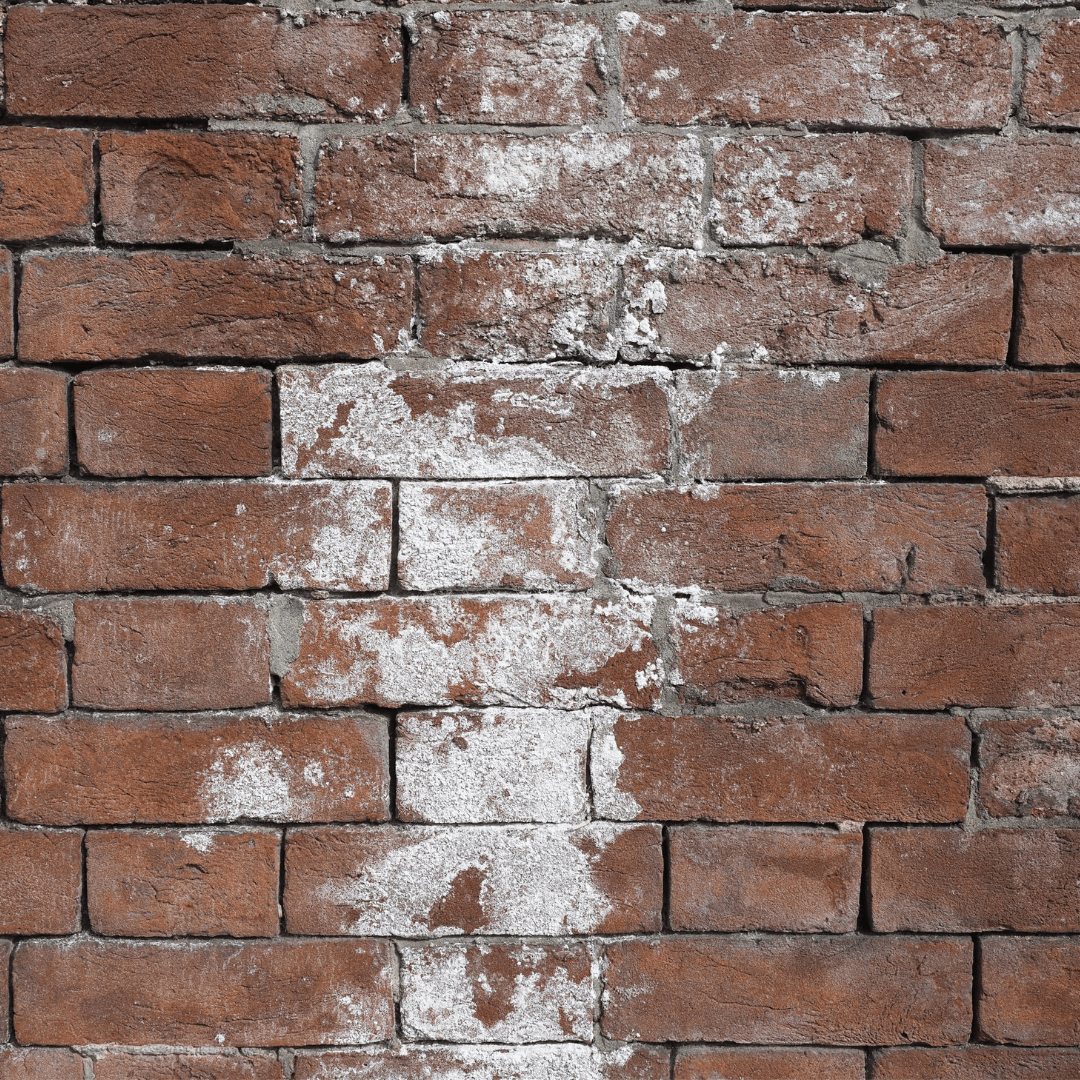 A red brick wall with visible white salt deposits, known as efflorescence, on the surface. The efflorescence appears as a powdery or crusty white residue concentrated in certain areas, indicating moisture movement through the masonry. This condition is often a sign of underlying moisture issues, where water draws soluble salts to the surface as it evaporates.