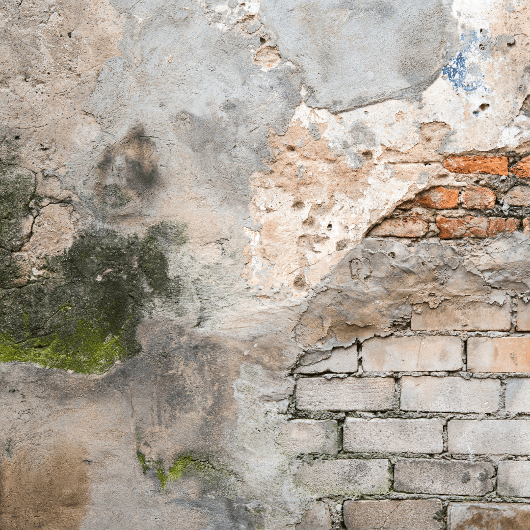 A deteriorating masonry wall with visible water infiltration damage. The wall shows signs of plaster deterioration, cracks, moss growth, and exposed brickwork. Sections of the plaster have crumbled away, revealing red and beige bricks beneath. Dark stains and green moss indicate prolonged moisture exposure. The freeze-thaw cycle in winter likely exacerbates the cracks and damage.